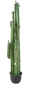 Plante artificielle Cactus Finger avec feuilles - Plante pour intérieur - H.185cm vert