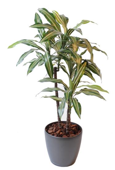 Plante artificielle Dracaena Fragrans 3 tiges - décoration d'intérieur - H.90cm