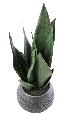 Plante artificielle Sansevieria pot décoratif - succulente pour intérieur - H.49cm vert