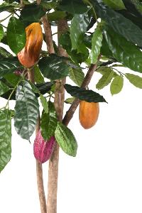 Arbre artificiel Cacaoyer avec fruits - plante d'intérieur - H.210cm vert