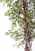 Arbre artificiel Ficus lianes petites feuilles - plante d'intérieur - H.150cm vert/crème