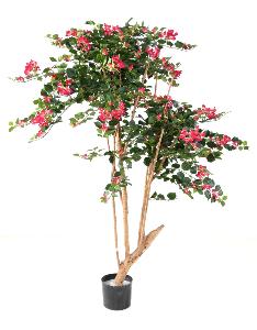 Arbre semi-naturel fleuri Bougainvillier Root - plante d'intérieur - H.160cm fuchsia