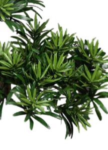 Bonsaï Podocarpus artificiel en pot - plante synthétique intérieur - H.50cm