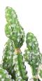 Cactus artificiel en pot - plante synthétique d'intérieur - H. 35 cm vert