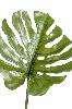Feuille artificielle de Philodendron - décoration d'intérieur - H.75 cm vert