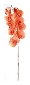 Fleur artificielle Orchidée phalaenopsis - fleur à tige - H.103 cm orange