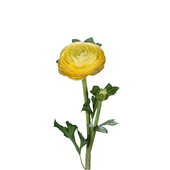 Fleur artificielle tige de Renoncule - création de bouquet - H.57cm jaune