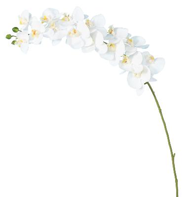 Orchidée artificielle Phalaenopsis 15 fleurs - création bouquet - H.125 cm blanc