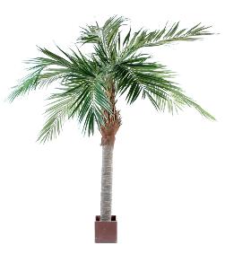 Palmier artificiel Majesty - arbre tropical luxe - H.320cm vert