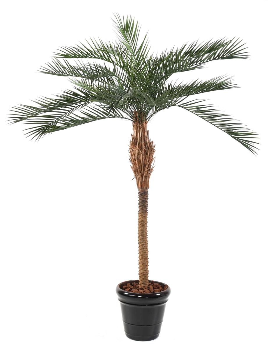 Palmier artificiel Phoenix PLAST - arbre pour extérieur - H.290 cm vert