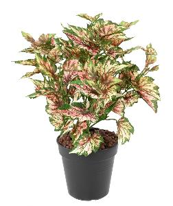 Plante artificielle Begonia rex en piquet - décoration d'intérieur - H.37cm panaché