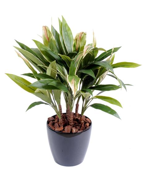 Plante artificielle Dracaena Cordyline touffe - déco d'intérieur - H.85cm vert jaune