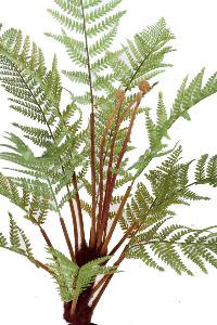 Plante artificielle Fougère Dicksonia en pot 13 feuilles - intérieur - H.115cm vert