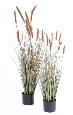 Plante artificielle Graminée Vulpin des champs Foxtail en pot - intérieur - H.120cm Brun
