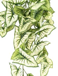 Plante artificielle Syngonium en piquet - décoration d'intérieur - H.60cm panaché