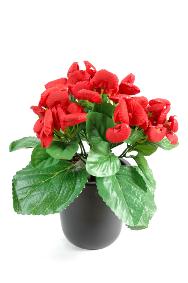 Plante artificielle fleurie Calcéolaire - Plante synthétique - H.30 cm rouge