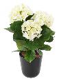 Plante artificielle fleurie Hortensia 3 têtes - intérieur extérieur - H.45cm blanc