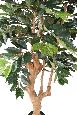 Arbre artificiel Caféier 5 branches - plante d'intérieur - H.180cm vert