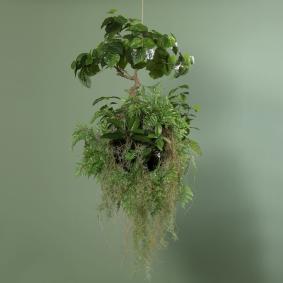Bonsaï artificiel boule végétalisée à suspendre - décoration d'intérieur - H.100cm