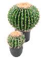 Cactus artificiel Echino - plante synthétique d'intérieur - H.27cm vert