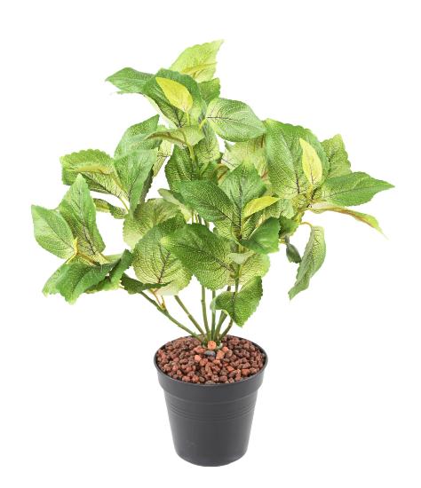 Feuillage artificiel Coleus en piquet - plante verte intérieur - H.40cm vert