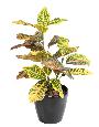 Feuillage artificiel Croton en piquet - plante d'intérieur - H.70cm vert rouge jaune