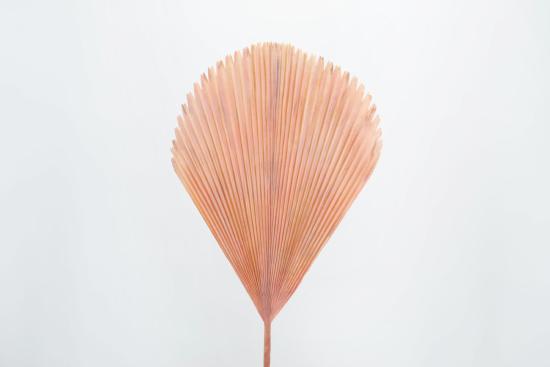 Feuillage artificiel feuille de palmier- décoration d'intérieur - H.60cm  pêche