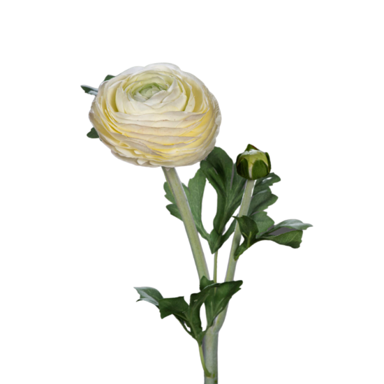 Fleur artificielle tige de Renoncule - création de bouquet - H.57cm crème