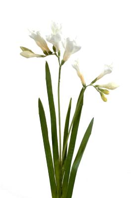 Fleur coupée artificielle Freesia large - création de bouquet - H.60cm blanc