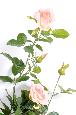 Fleurs artificielles Guirlande royale de rose - décoration d'intérieur - H.140cm rose crème