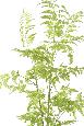 Fougère artificielle socle mousse - plante d'intérieur - H.130cm vert
