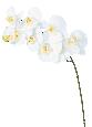 Orchidée artificielle Phalaenopsis 9 fleurs - création bouquet - H.98 cm blanc