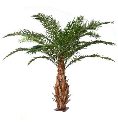 Palmier artificiel Canarie - arbre tropical pour intérieur - H.350cm