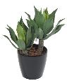 Plante artificielle Agave tige de plantation - cactus pour intérieur - H.75cm