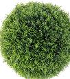 Plante artificielle Cyprès boule en pot - intérieur extérieur - H.55cm vert