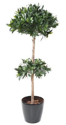 Plante artificielle Laurier double boule UV résistant - intérieur extérieur - H.170cm vert