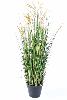 Plante artificielle Papyrus Scirpus Validus fleuri en pot - intérieur - H.60cm