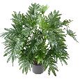 Plante artificielle Philodendron Selloum - plante d'intérieur - H.75cm vert