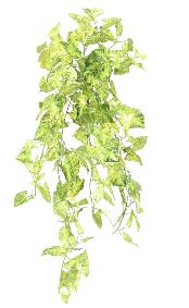 Plante artificielle Syngonium en piquet - décoration d'intérieur - H.80cm panaché