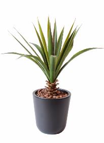 Plante artificielle Aloe en piquet - cactus artificiel extérieur - H.45cm vert