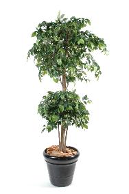 Arbre artificiel Ficus double boule - décoration intérieure - H.180cm