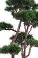 Arbre artificiel forestier Pin nuage - arbre méditerranéen pour intérieur - H.250cm