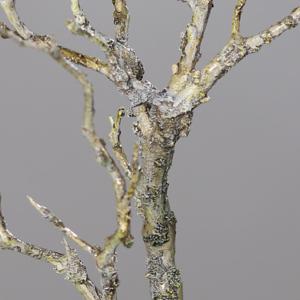 Branche artificielle bois avec mousse et lichen - décoration d'intérieur - H.40cm