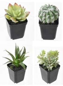 Cactus artificiels assortiment de 4 plantes - plante synthétique d'intérieur - H.20cm