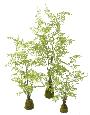 Fougère artificielle socle mousse - plante d'intérieur - H.95cm vert