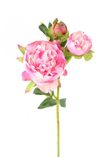 Pivoine artificielle 2 fleurs - création de bouquet composition - H.50cm rose