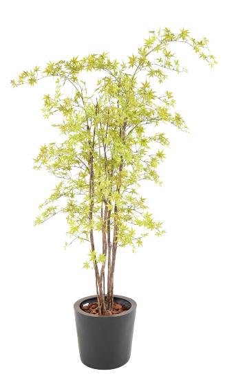Plante artificielle Aralia Plastique UV (érable) - intérieur extérieur - H.180cm vert