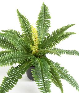 Plante artificielle Fougère en piquet 19 feuilles - plante d'intérieur - H.50cm vert