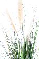 Plante artificielle Graminée Carex GF - intérieur - H.150cm vert