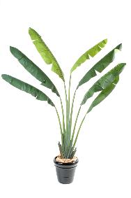 Plante tropicale artificielle Arbre du voyageur - plante intérieur - H.250 cm